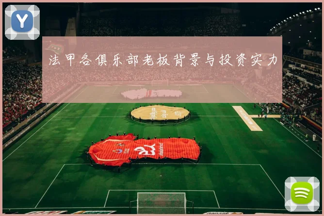 法甲各俱乐部老板背景与投资实力