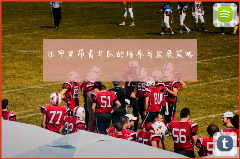 法甲里昂青年队的培养与发展策略