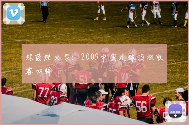 绿茵烽火录：2009中国足球顶级联赛回眸