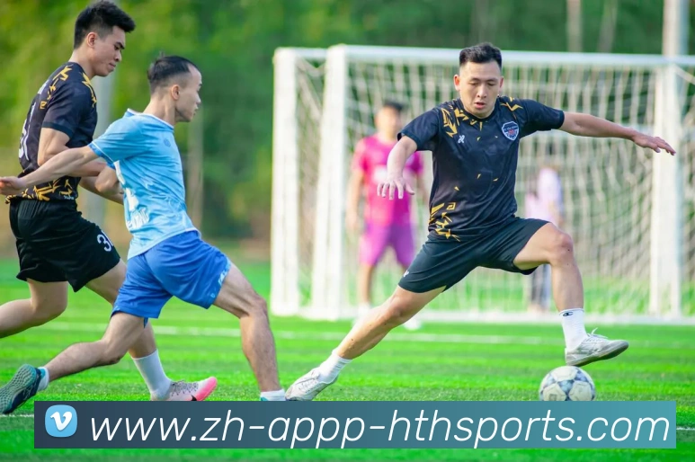 华体会hth平台生态图