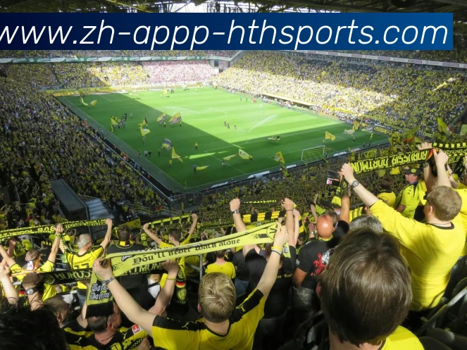 华体会hthAPP 封面图